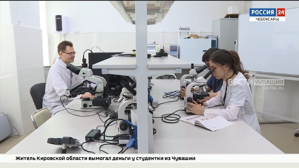 Чувашские ученые разрабатывают умную систему для анализа крови животных