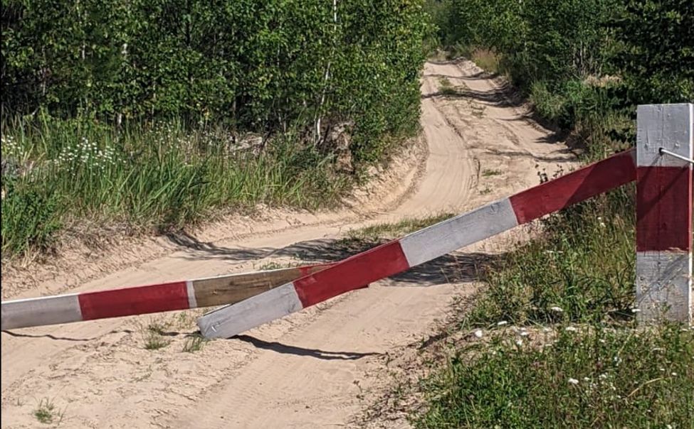 В Чувашии выявили первых нарушителей запрета на посещение лесов