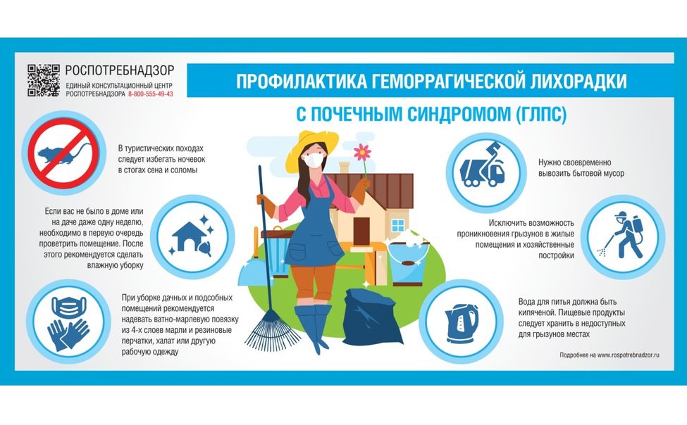 С начала года в Чувашии выявлен 31 случай заболевания мышиной лихорадкой