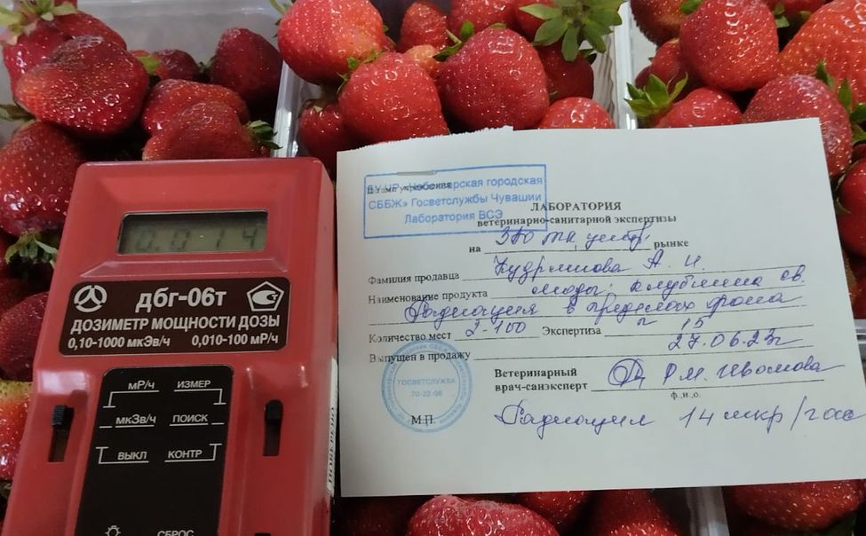 В Чебоксарах проверили более 20 тонн клубники