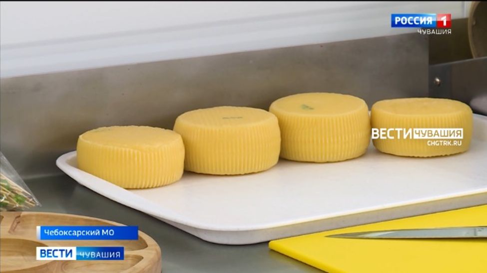 Фермеры Чувашии претендуют на гранты в 150 млн рублей