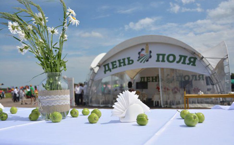 В Чувашии сформирована программа Дня поля
