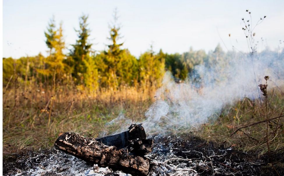В Чувашии для охраны лесов выставили сотни аншлагов и шлагбаумов, провели тысячи патрулей