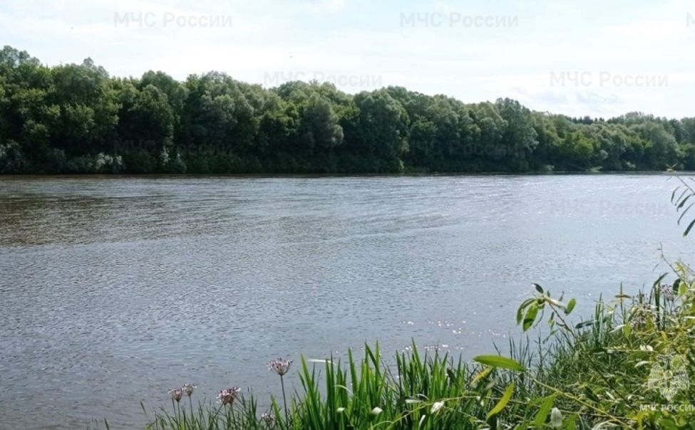 В Алатыре утонул мужчина 