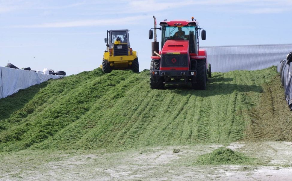 В Чувашии заготовку кормов завершили на 43%