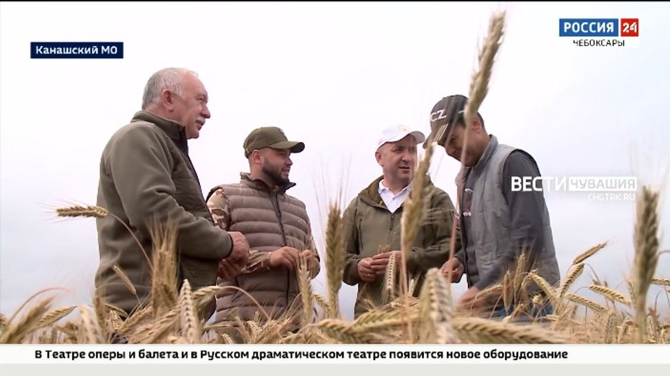Чувашские аграрии готовятся к непростой уборочной страде