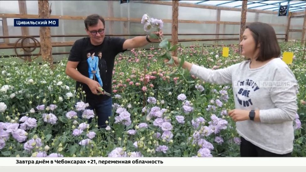 Красивый ответ санкциям: чувашские цветоводы разводят уникальные сорта