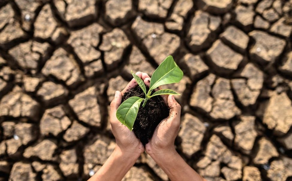 В Чувашии  с 14 июля введен режим ЧС из-за засухи