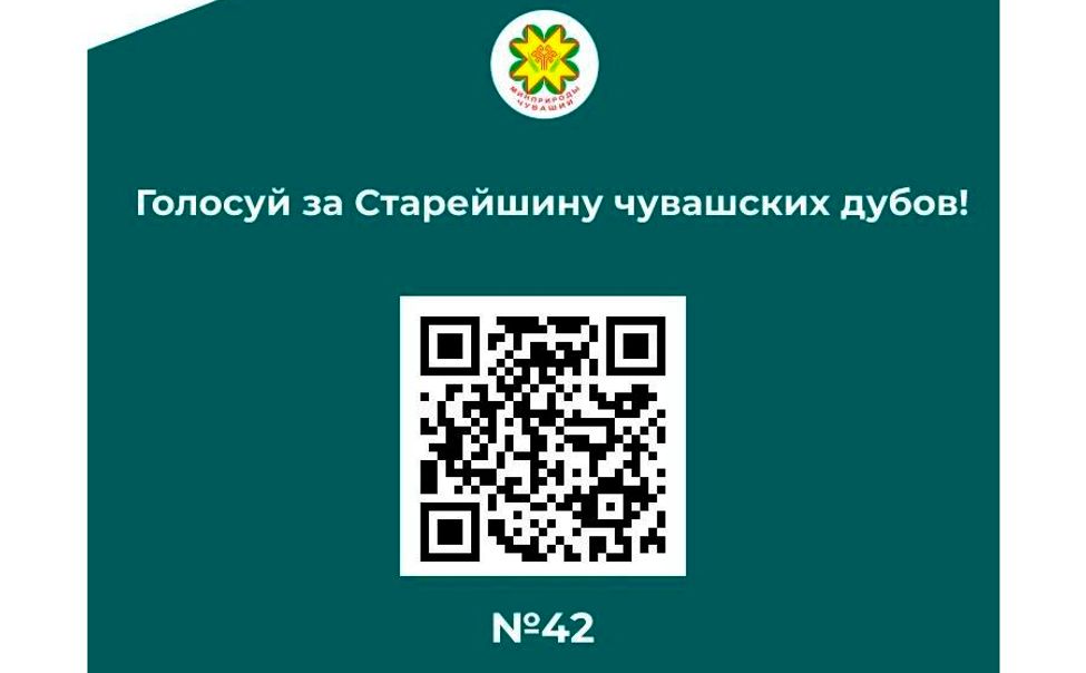 Старейшина чувашских дубов уже набрал более 9000 голосов