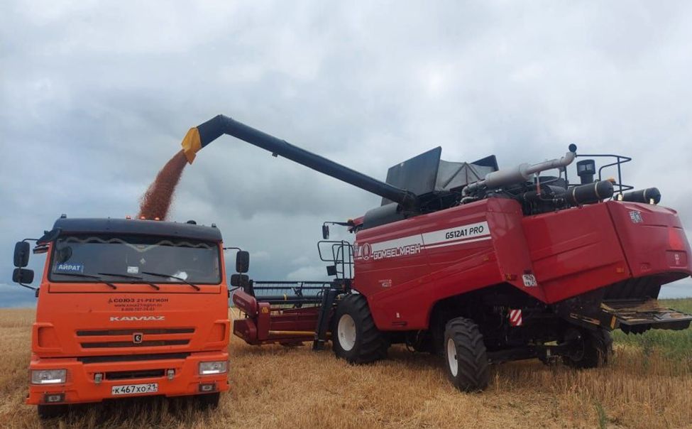 Несмотря на засуху, в Чуваши рассчитывают на хороший урожай зерновых