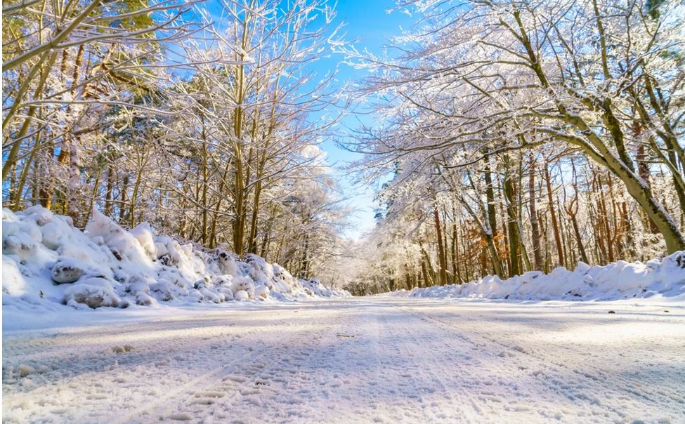 В Чувашии многодетная мать взыскала с дорожников 100 тыс рублей за ДТП