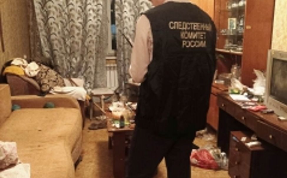 Чебоксарку осудили за нападение с ножом на сожителя 