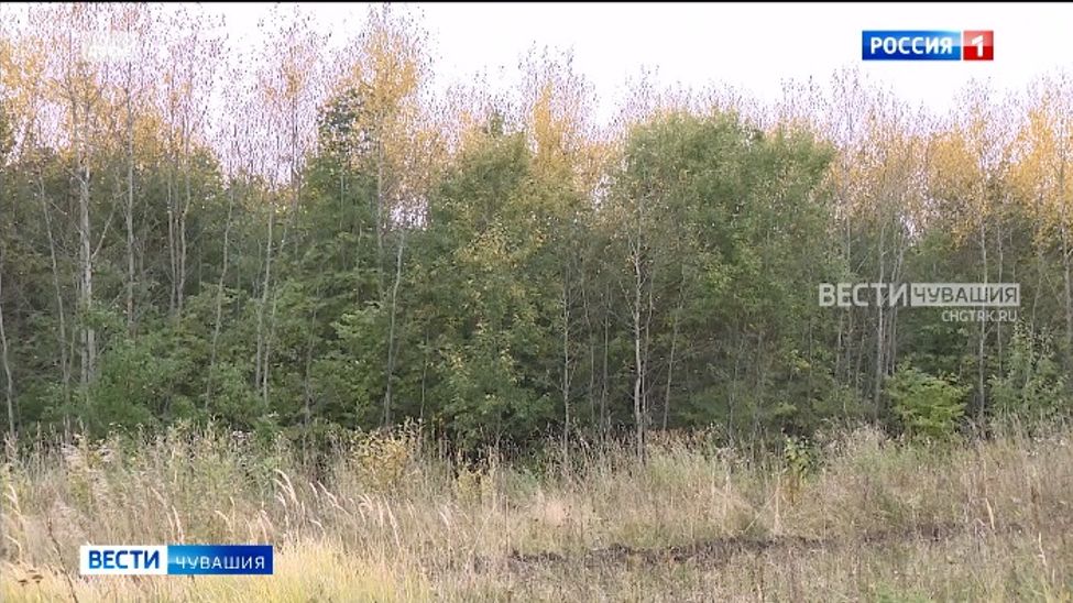 Переменчивая погода не дает жителям Чувашии выдохнуть 