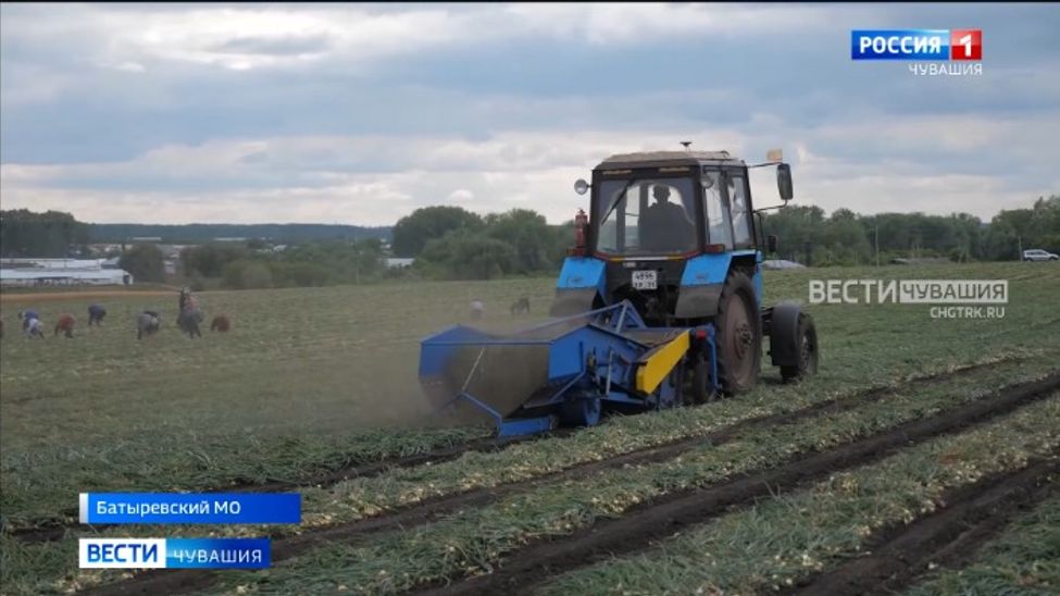 В Чувашии в самом разгаре уборочная кампания