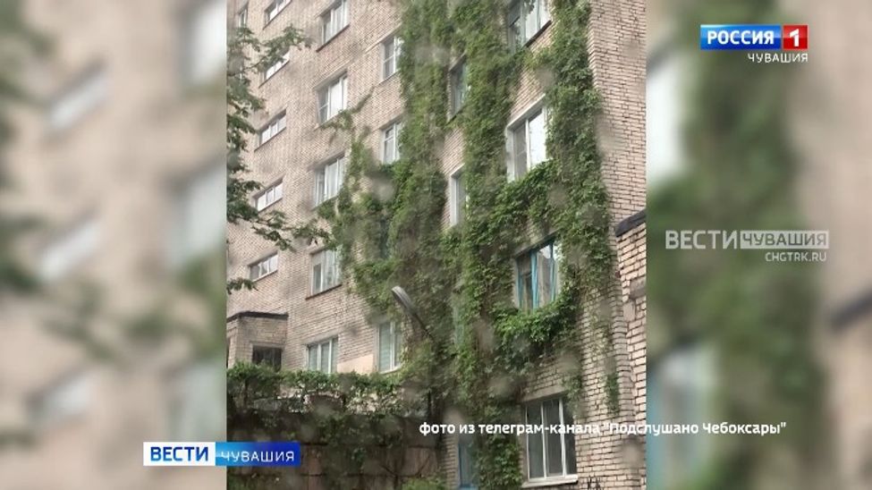 Мобильный репортер. Выпуск от 22.07.2023