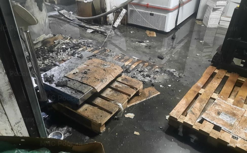 В Козловке произошел пожар в продуктовом магазине