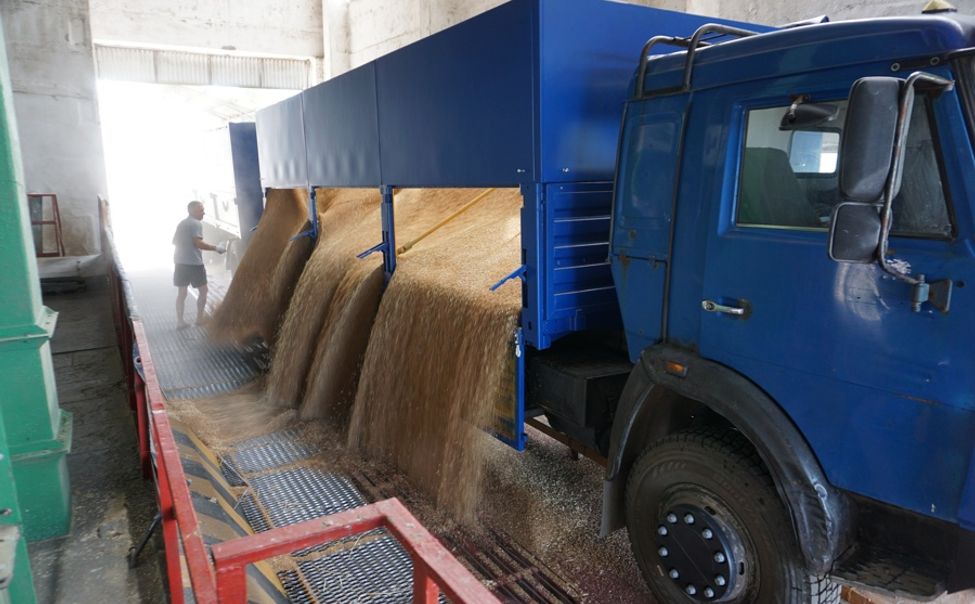 В зернохранилища Чувашии поступила первая партия урожая 2023 года