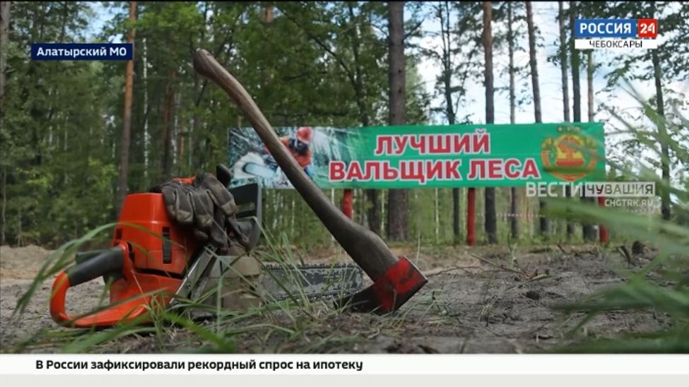 В Чувашии впервые после пандемии выбрали виртуозов бензопилы