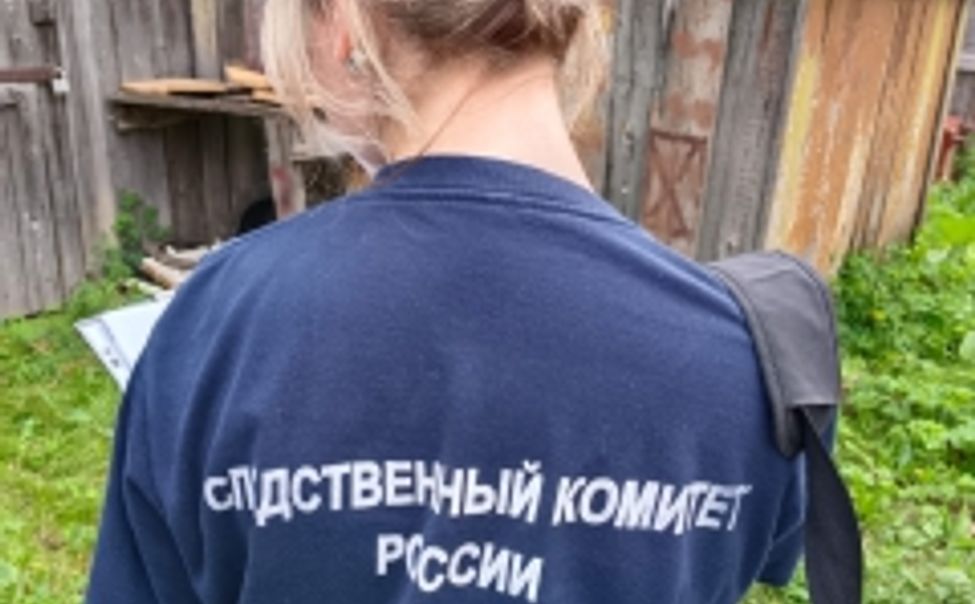 Житель Канашского округа зарубил супругу топором