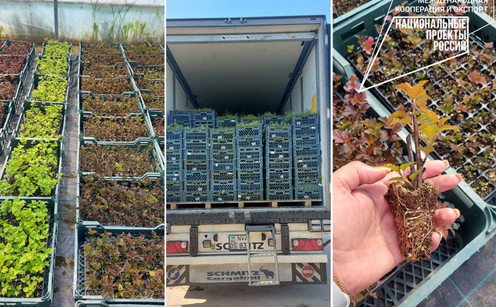 Из Чувашии в Казахстан экспортировали отруби и живые цветы