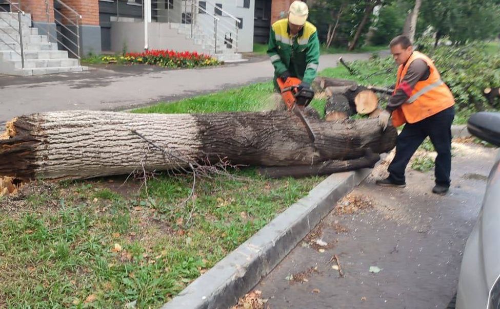 Чебоксарские коммунальщики рассказали, как справляются с последствиями непогоды
