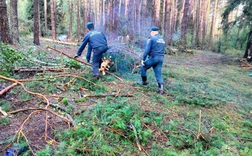 В соседней Марий Эл число погибших в грозу с ураганом выросло до 8 человек