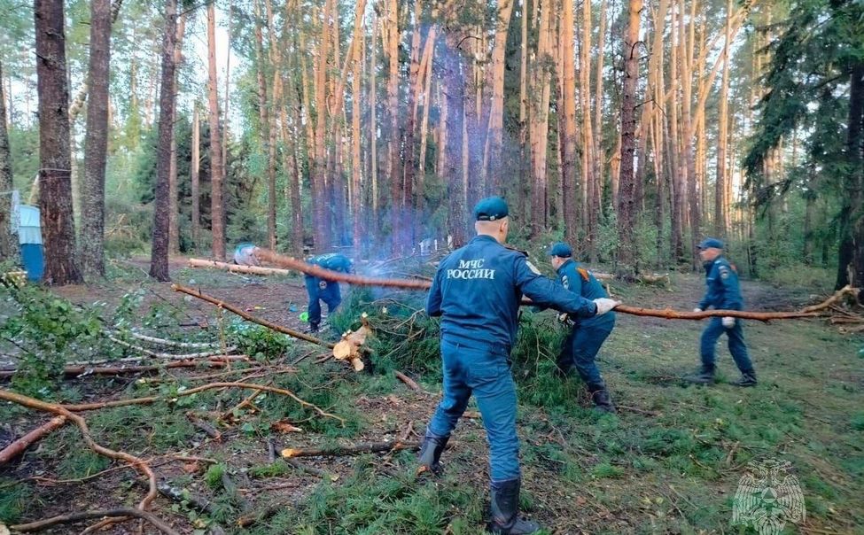 Во время грозы в марийских лесах пострадал житель Чувашии
