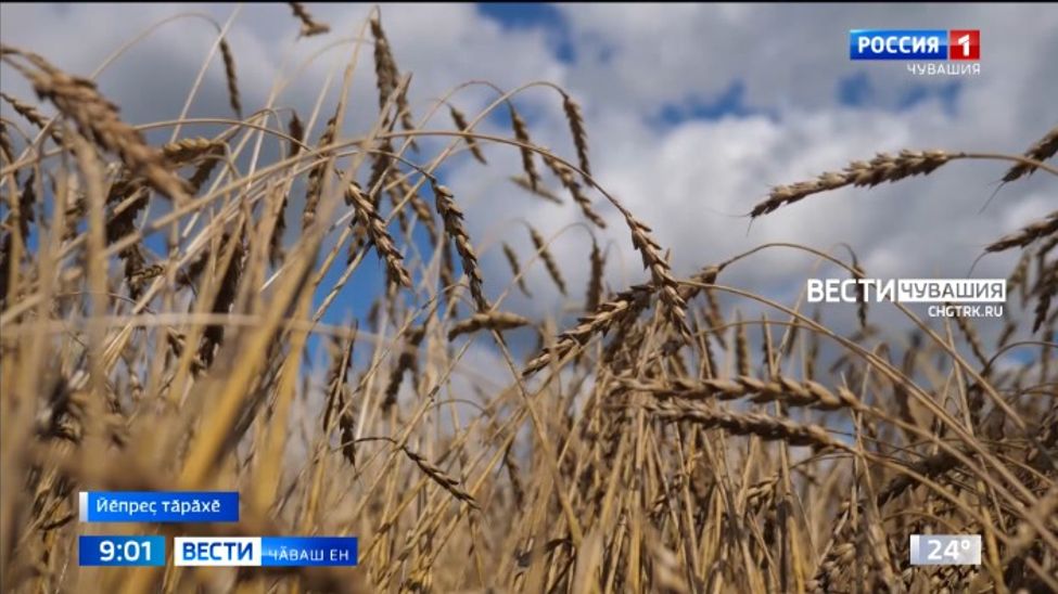 Республикӑри пур округра та техникӑна тыр-пул пуссине кӑларнӑ