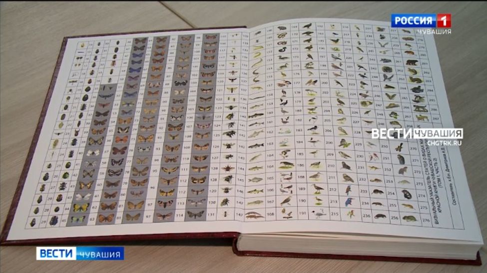 Завершается работа над Красной книгой Чувашии