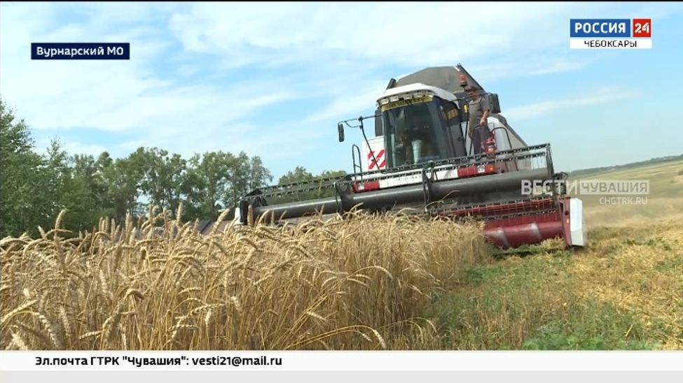 Семейным фермам Чувашии выдали 4 гранта на 57 млн рублей