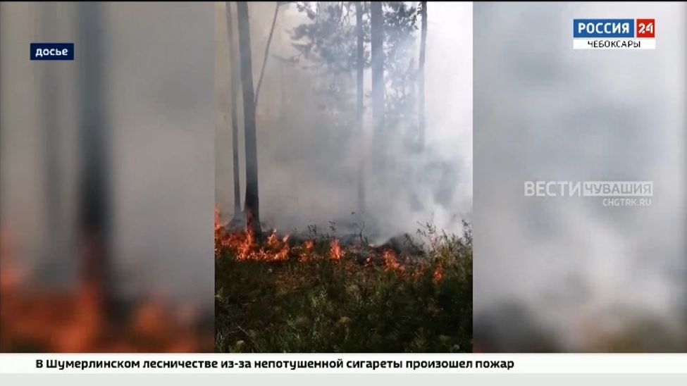 В выходные в Чувашии ожидается до +32-33 градусов жары