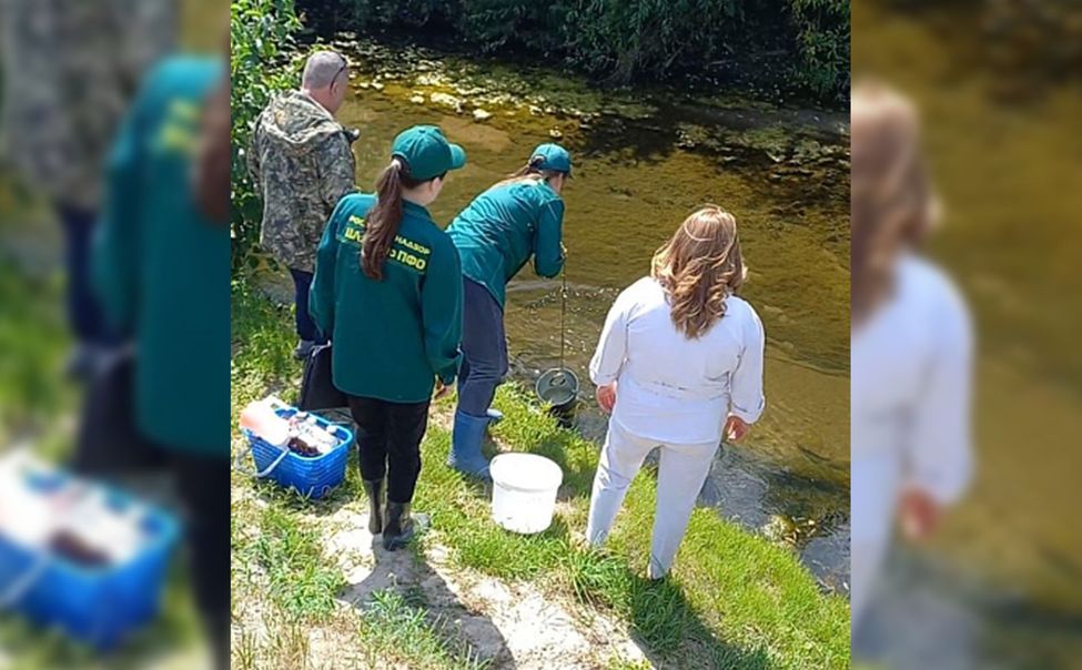 В реке Була в Батыреве зафиксировали превышение концентрации вредных веществ
