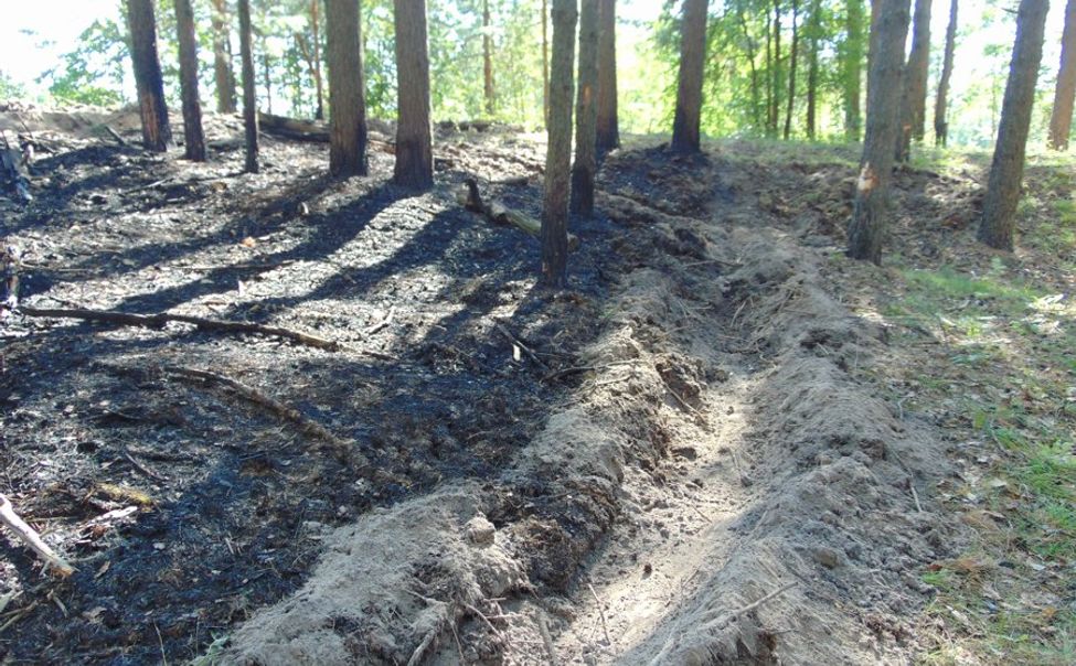 В Шумерлинском лесничестве из-за непотушенной сигареты произошел пожар