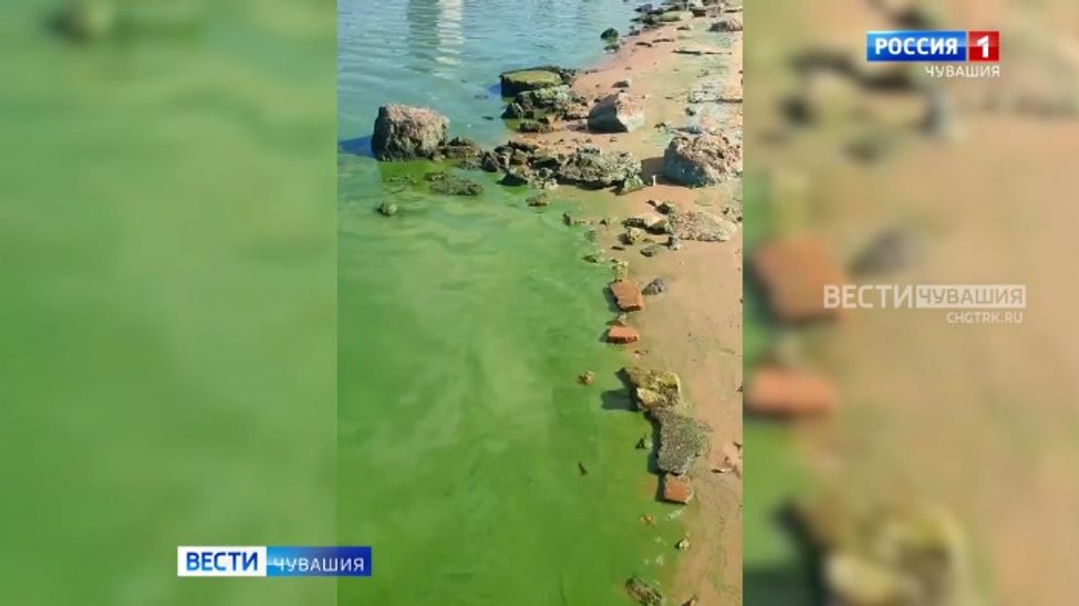 Мобильный репортер. Выпуск от 12.08.2023