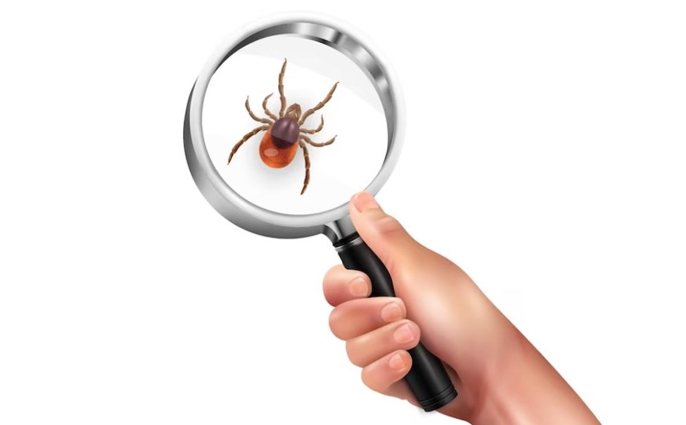 В Чувашии от укусов клещей пострадали более 1000 человек