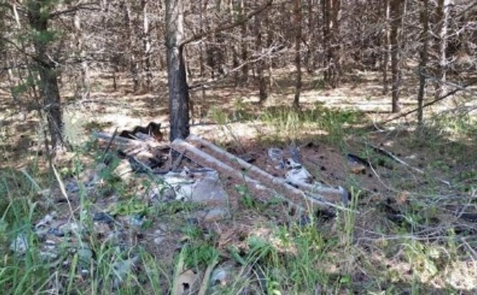 В селе Чуварлеи Алатырского округа обнаружили несанкционированную свалку