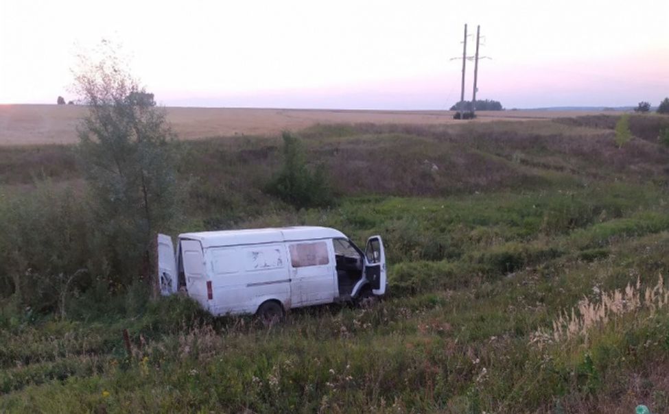В Канашском округе пьяный водитель ГАЗели съехал в кювет. Погиб пассажир