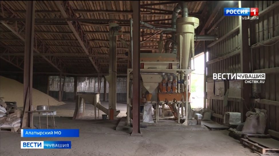 В Алатырском округе осужденные собрали 2,5 тысячи тонн зерновых