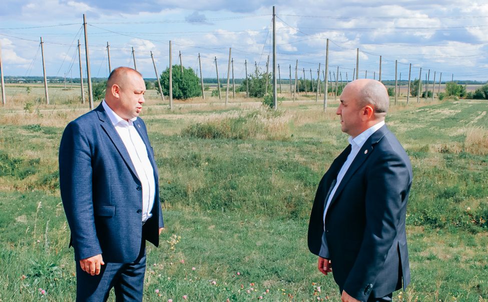 В Шемуршинском округе намерены восстанавливать хмелеводство