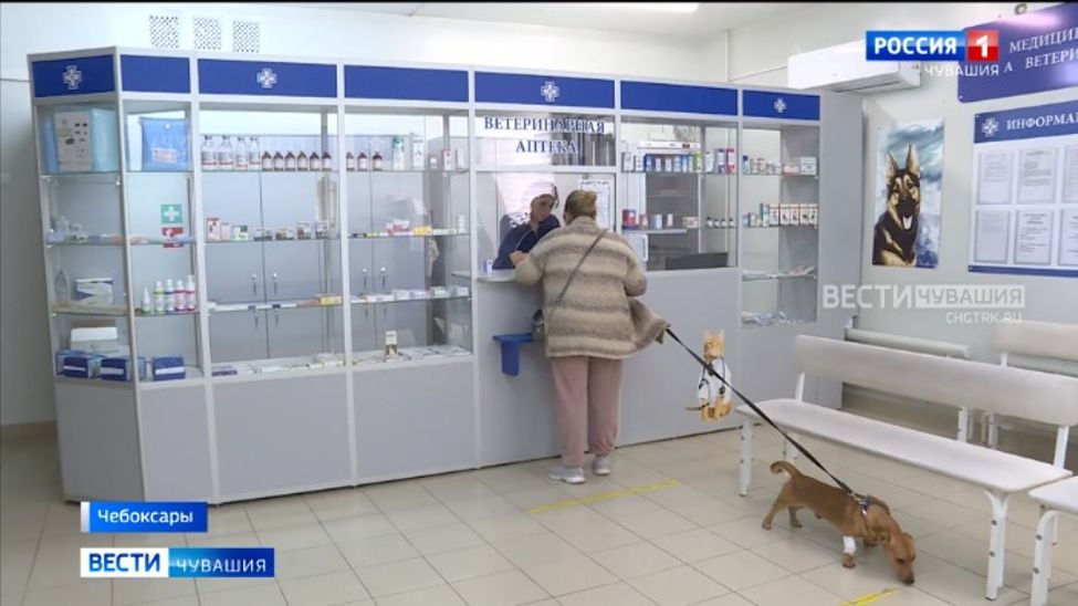 В Чувашии рассказали, кто прежде всего рискует заразиться бешенством