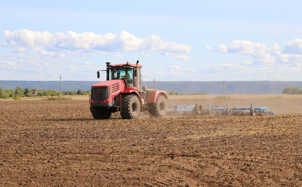 В Чувашии назвали муниципальные округа с самым эффективным использованием каждого гектара
