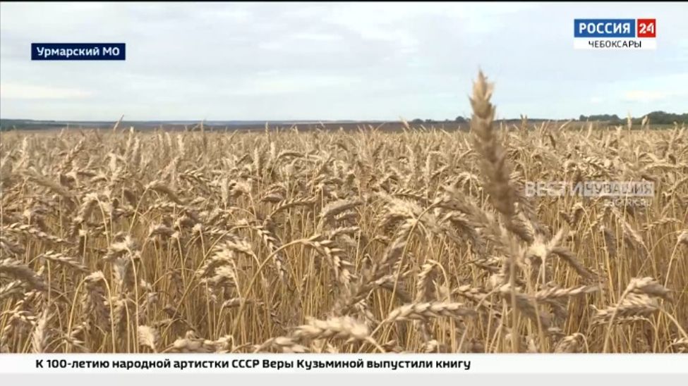 В Чувашии ветераны АПК ознакомились с ходом уборки урожая