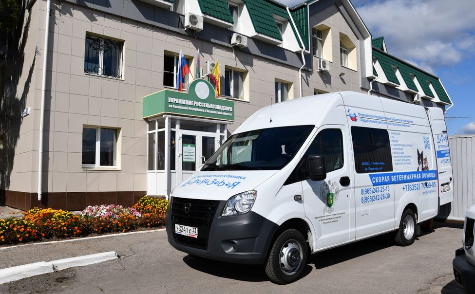 В Чувашии заработала "скорая" для животных