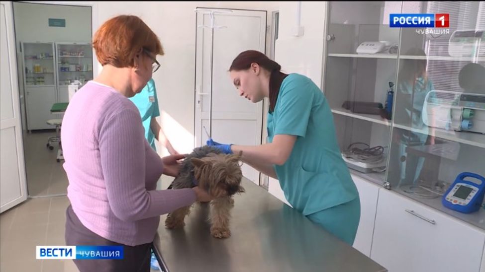 В Чебоксарах начал работу мобильный пункт по вакцинации домашних животных