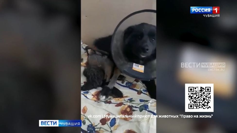 Проект "Найди друга". №57. Эзра