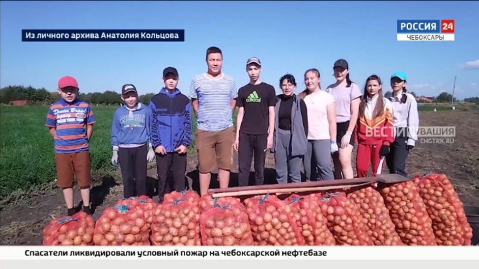 В Батыревском округе волонтеры передадут двадцать мешков картофеля российским военнослужащим