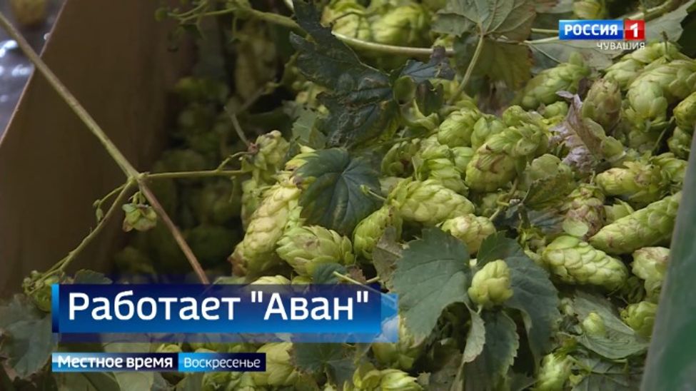 О главных событиях уходящей недели в Чувашии смотрите в программе "Местное время. Воскресенье"