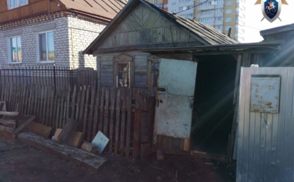 Жительница Канаша убила знакомого ударом ножа в грудь