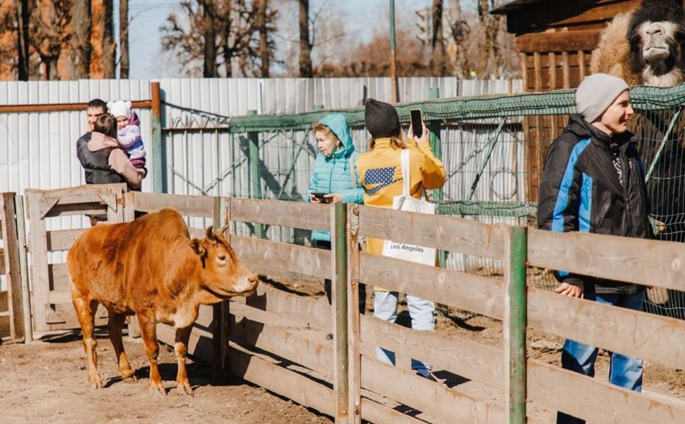 Чебоксарский зооуголок "Ковчег" переходит на новый режим работы