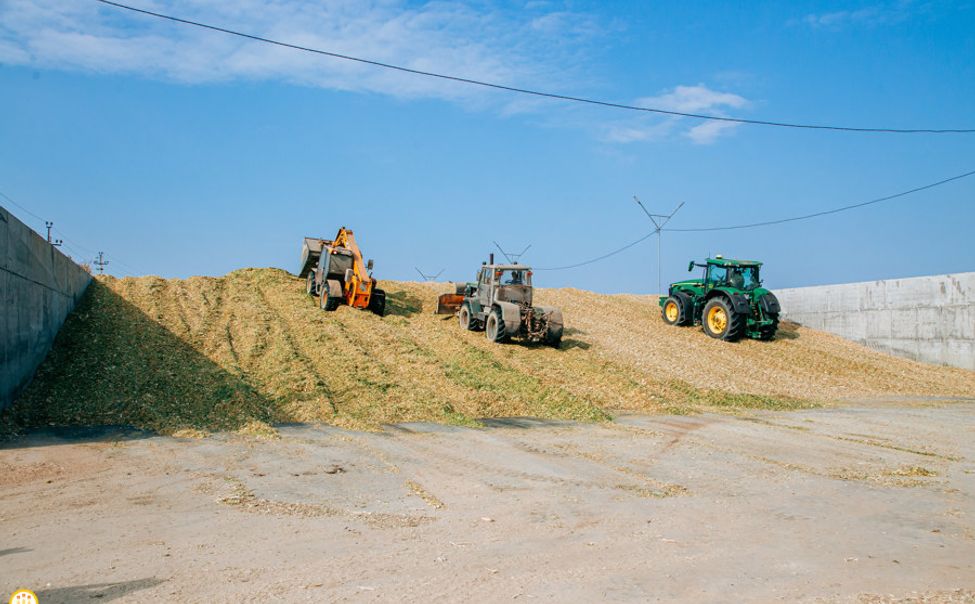 В Чувашии завершается заготовка кормов